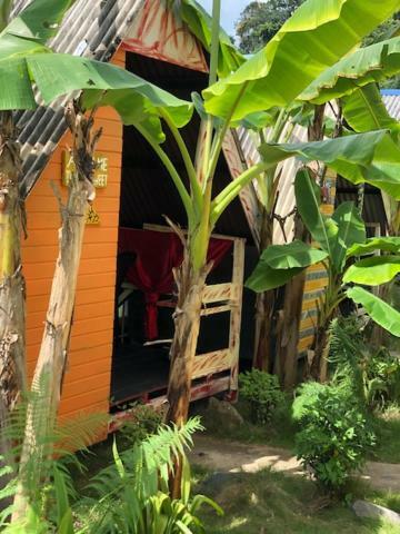 Beach Shack Chalet - Garden View Aframe Small Unit Kampong Juara Exteriör bild